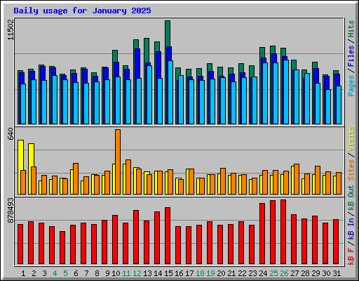 Daily usage for January 2025