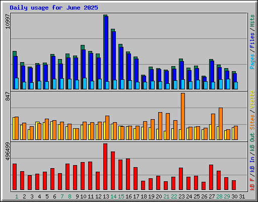Daily usage for June 2025