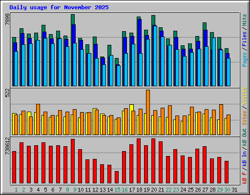 Daily usage for November 2025
