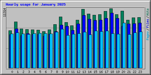 Hourly usage for January 2025