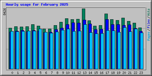 Hourly usage for February 2025