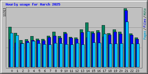 Hourly usage for March 2025