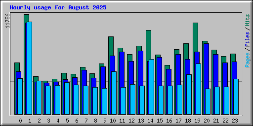 Hourly usage for August 2025