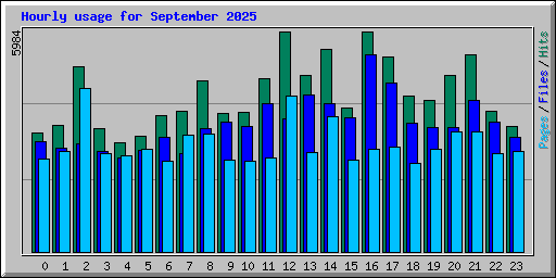 Hourly usage for September 2025