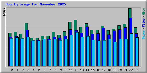 Hourly usage for November 2025