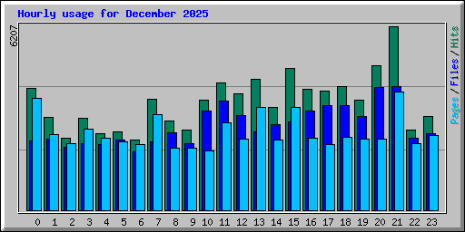 Hourly usage for December 2025